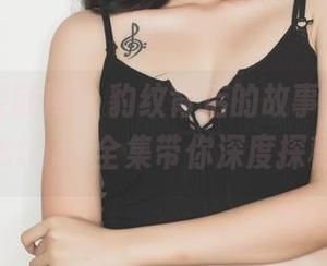 GIRLT果团网 – 豹纹背后的故事，何梦兮Stacy全集带你深度探秘