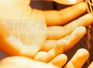 MiiTao蜜桃社 – 高清分享：走进Mia米娅的棉袜世界，温暖与可爱交织。
