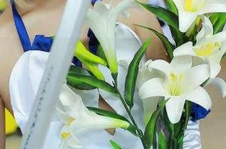 观看只是简言的海边,图片像是在低语,沙子也在摇头